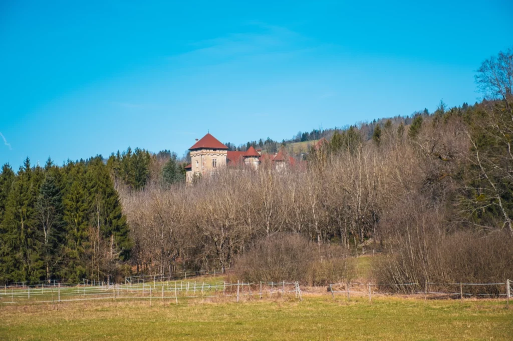 Le château depuis la prairie